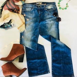 Joe’s Jeans Women's Provocateur Boot Cut - W 29